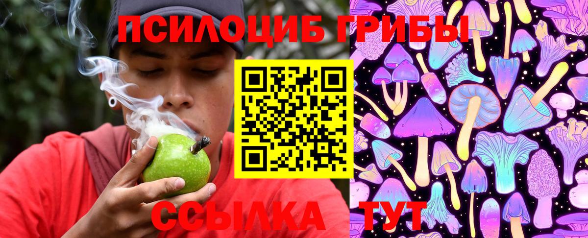 Галлюциногенные грибы мухоморы Дивногорск