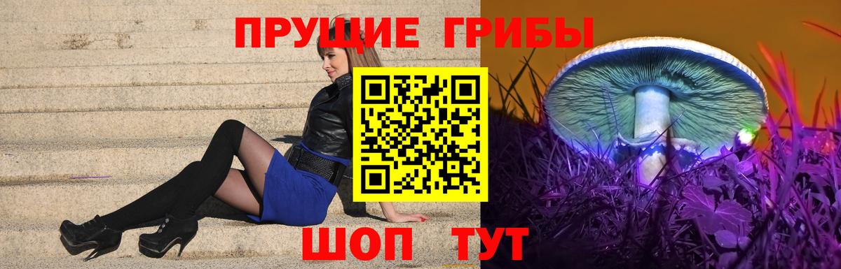 где найти   Псилоцибиновые грибы Magic Shrooms  Вход с VPN  Дивногорск 