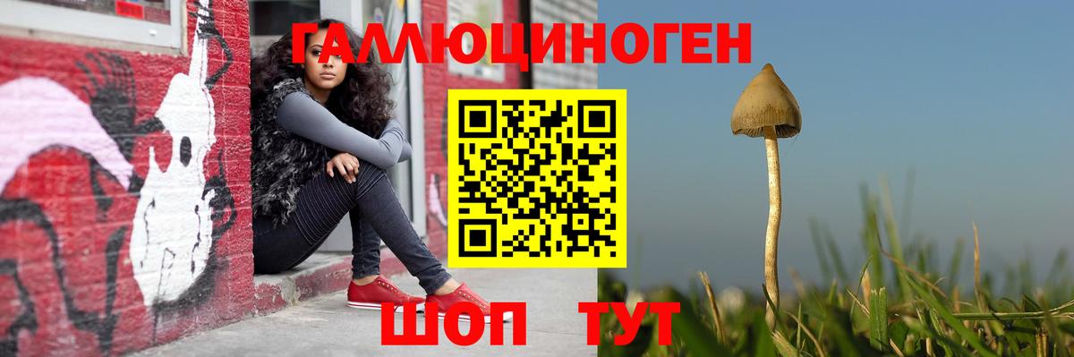 Галлюциногенные грибы мухоморы  Дивногорск  Галлюциногенные грибы ЛСД 